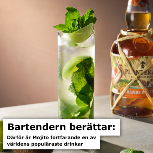 Så blev Mojito världens mest kopierade drink