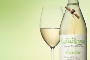”Pinnvinet” - friskt, fruktigt och ekologiskt vitt vin från Cantina Zaccagnini