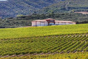 Bodegas El Coto de Rioja - Moderna viner med respekt för traditionerna