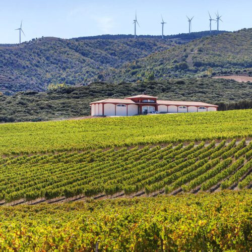 Bodegas El Coto de Rioja – Moderna viner med respekt för traditionerna