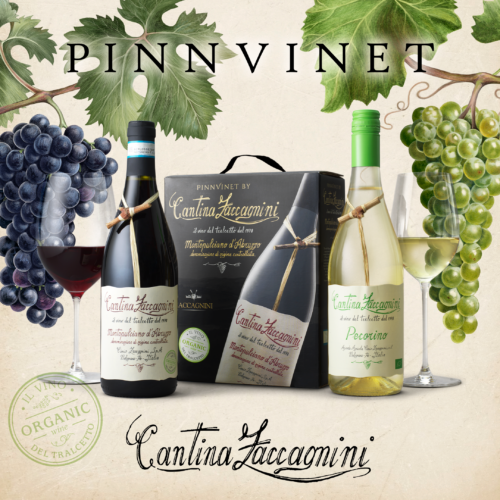 Cantina Zaccagnini – Pinnvinet från hjärtat av Italien