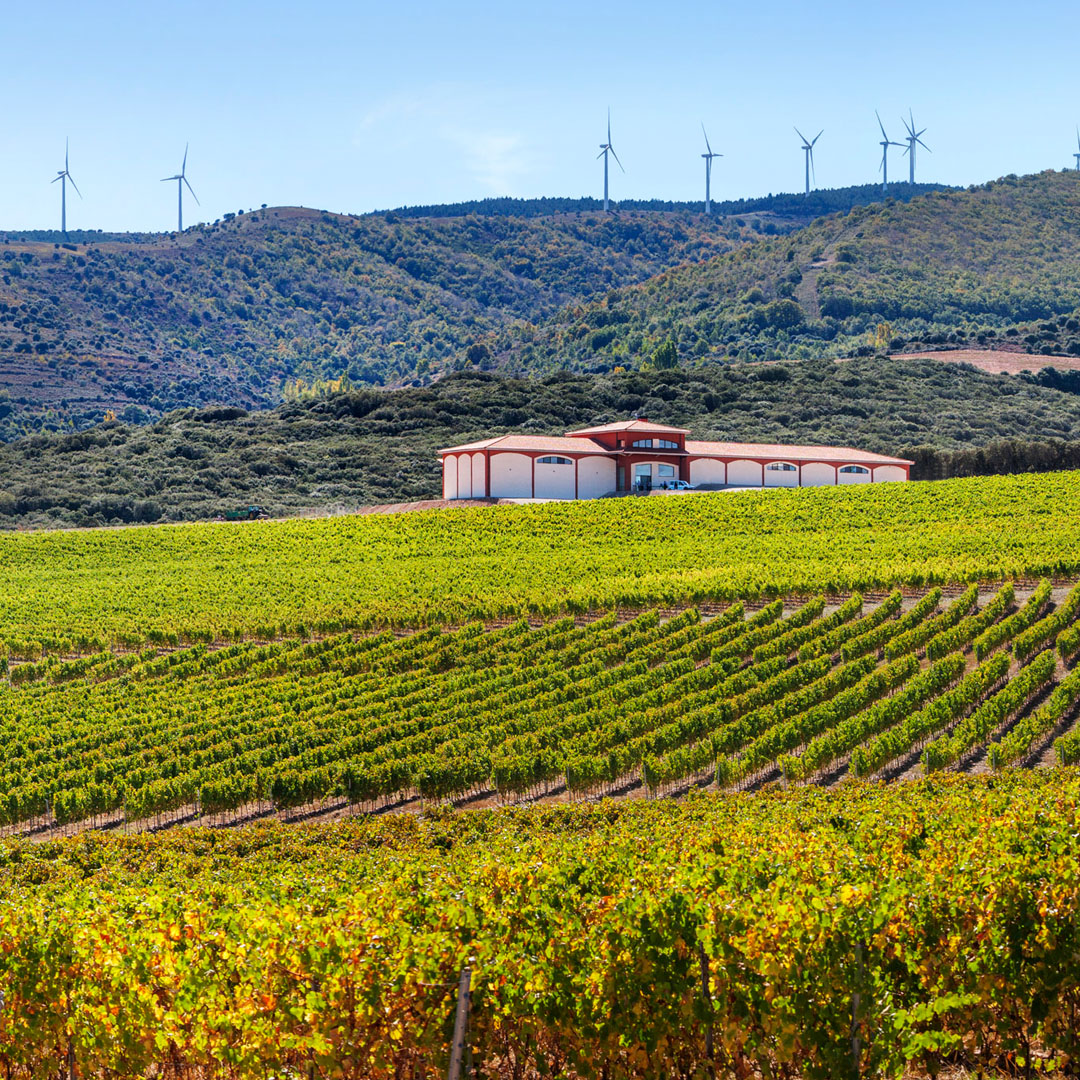 Bodegas El Coto