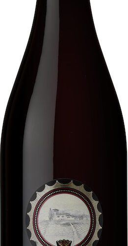 Pagus Bisano Valpolicella Ripasso DOC