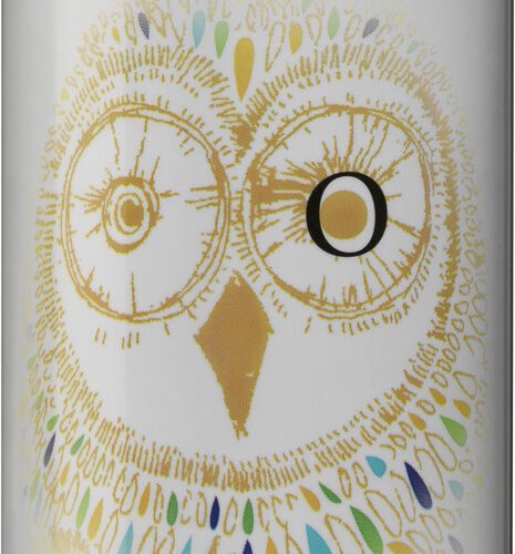 Asiotus Vino Bianco Frizzante Organic 20 cl can