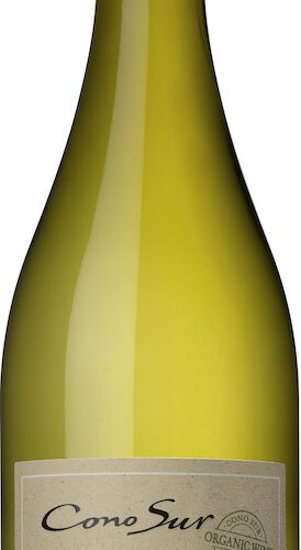 Cono Sur Sauvignon Blanc EKO