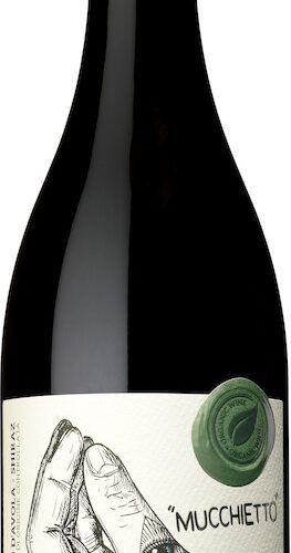 Pasqua Mucchietto Nero d’Avola-Shiraz EKO