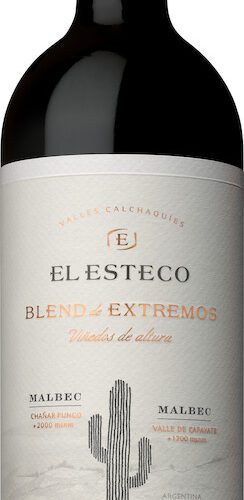 El Esteco Blend de Extremos Malbec