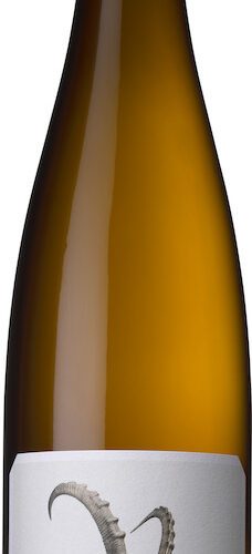 Hörner Grauburgunder Steinbock