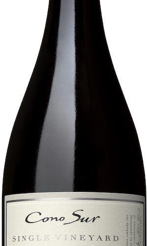 Cono Sur Single Vineyard Pinot Noir