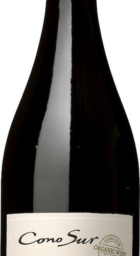 Cono Sur Organic Pinot Noir EKO